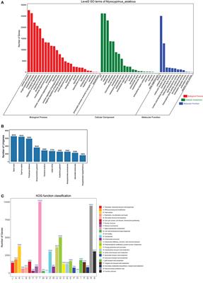 Construction of a Full-Length Transcriptome Resource for the Chinese Sucker (Myxocyprinus asiaticus), a Rare Protected Fish, Based on Isoform Sequencing (Iso-Seq)